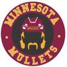 Minnesota Mullets Hockey